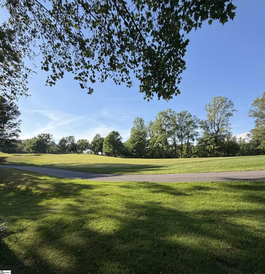 103 May Apple Way, Landrum, SC 29356 - #2