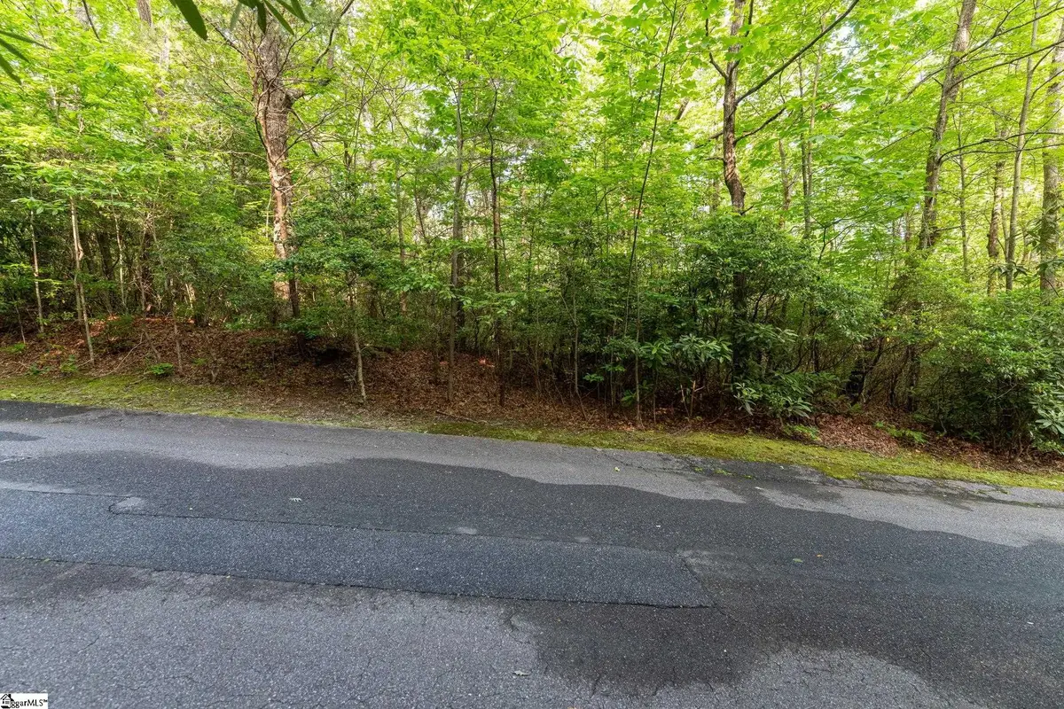 113 Columbine Way, Cleveland, SC 29635 - #1