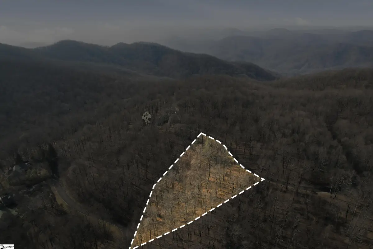 116 Witch Hazel Trail, Landrum, SC 29356-0000 - #1