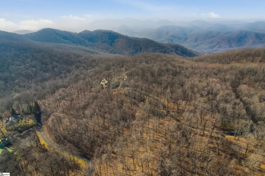 116 Witch Hazel Trail, Landrum, SC 29356-0000 - #2