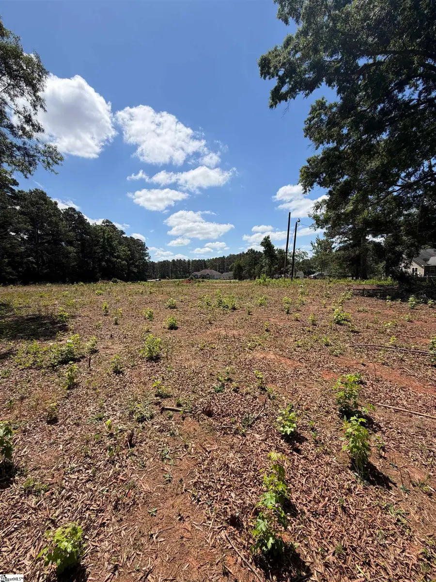 208 Pine Drive, Greenwood, SC 29653 - #3