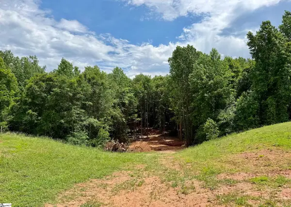 3161 Lorenzo Court, Inman, SC 29349
