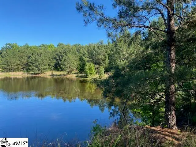 00 Cook Road, Gray Court, SC 29645 - #2