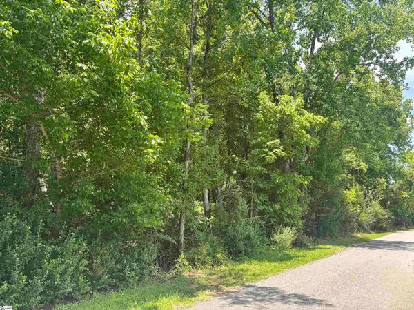 00 Borders Road, Blacksburg, SC 29702