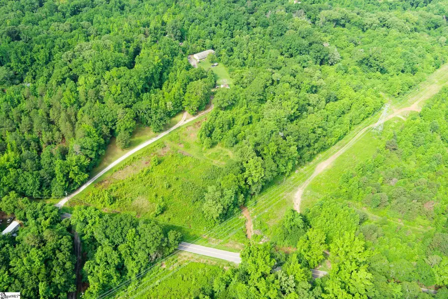 00 Hellams Road, Gray Court, SC 29645 - #2