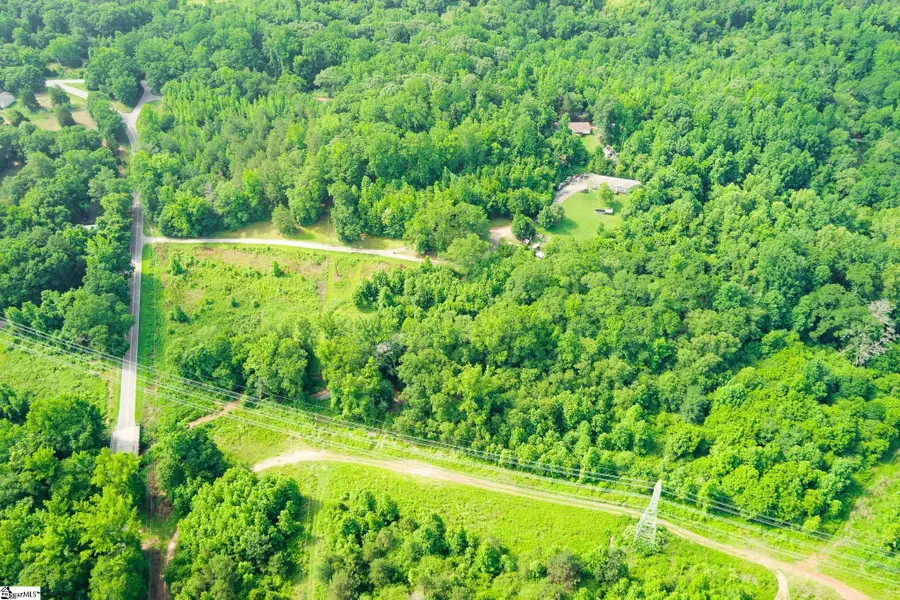 00 Hellams Road, Gray Court, SC 29645 - #3
