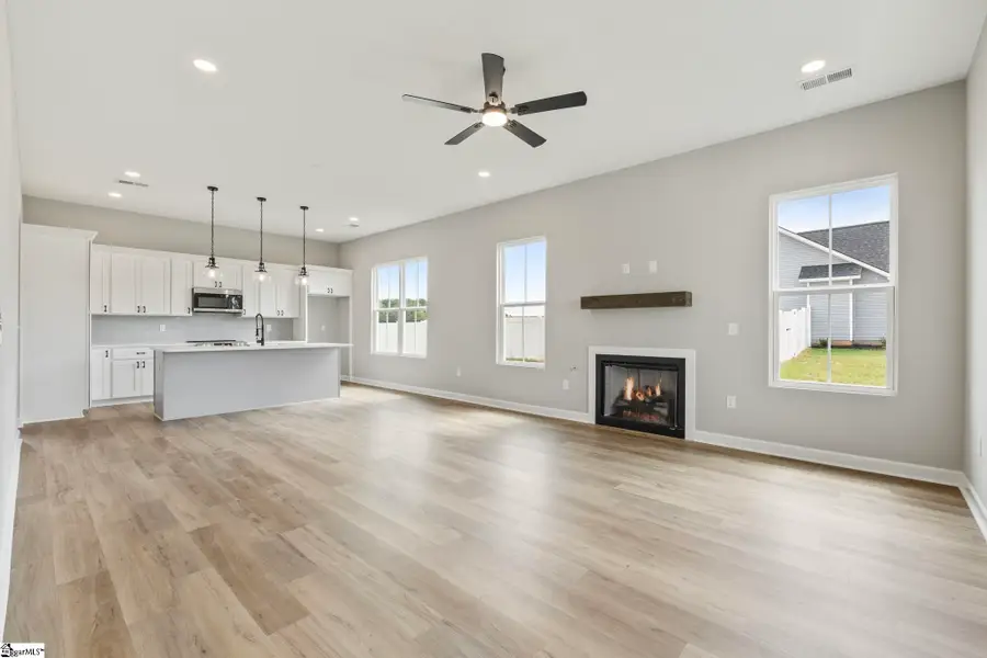 2741 Friendship Church Road, Gray Court, SC 29645 - #3