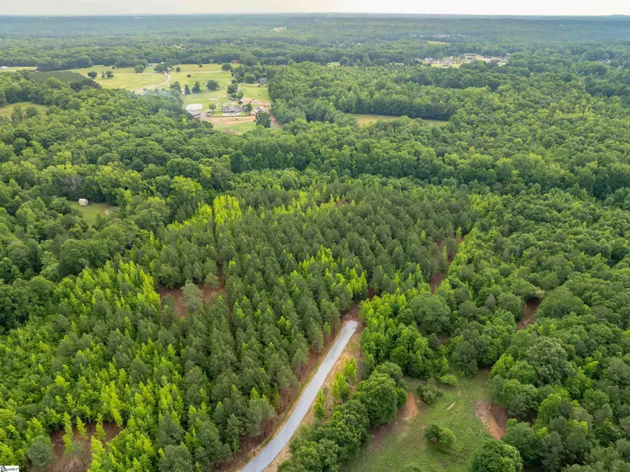 00 Terry Road #Lot 3, Fountain Inn, SC 29644 - #3