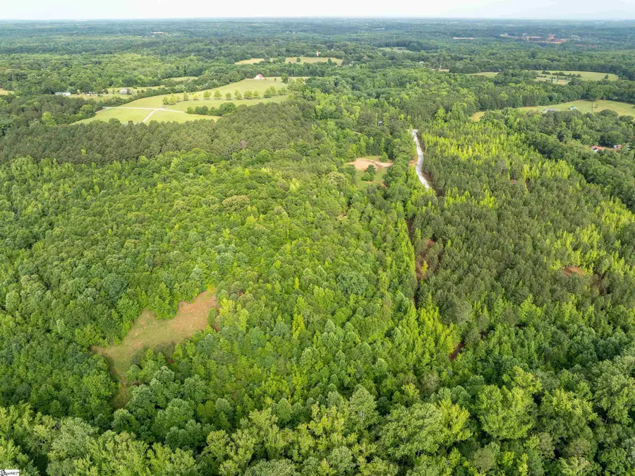 00 Terry Road #Lot 5, Fountain Inn, SC 29644 - #3