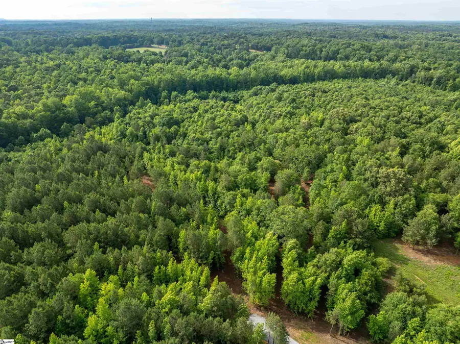 00 Terry Road #Lot 6, Fountain Inn, SC 29644 - #3