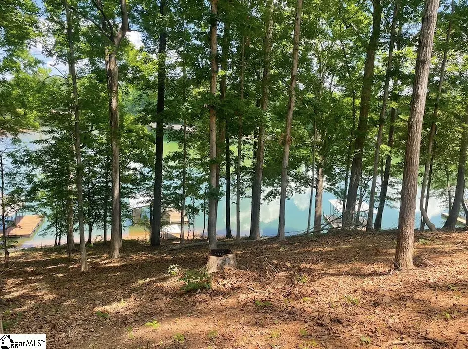 00 Sweet Gum Drive #Lot 28, Westminster, SC 29693 - #1