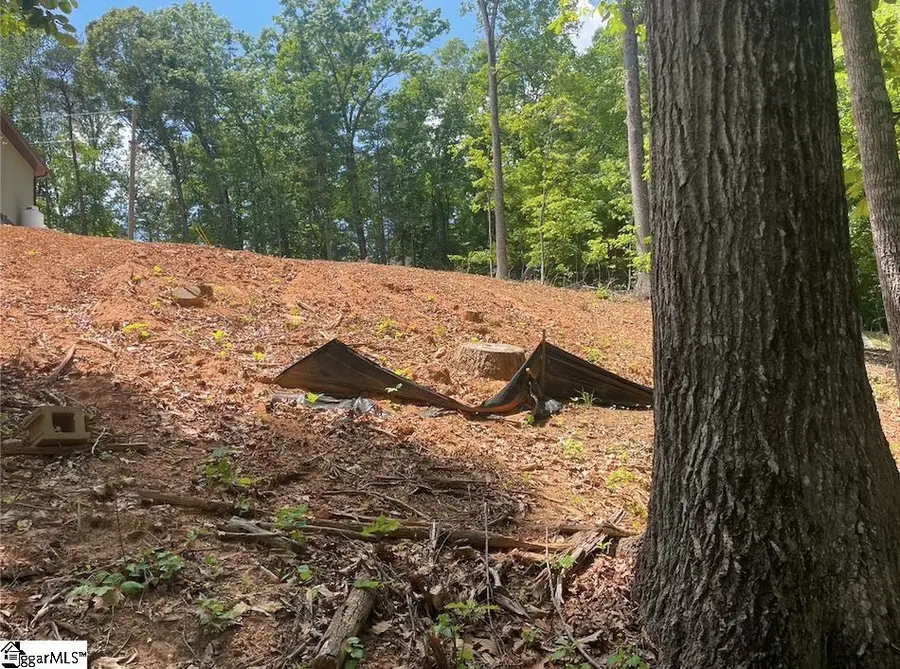 00 Sweet Gum Drive #Lot 28, Westminster, SC 29693 - #3