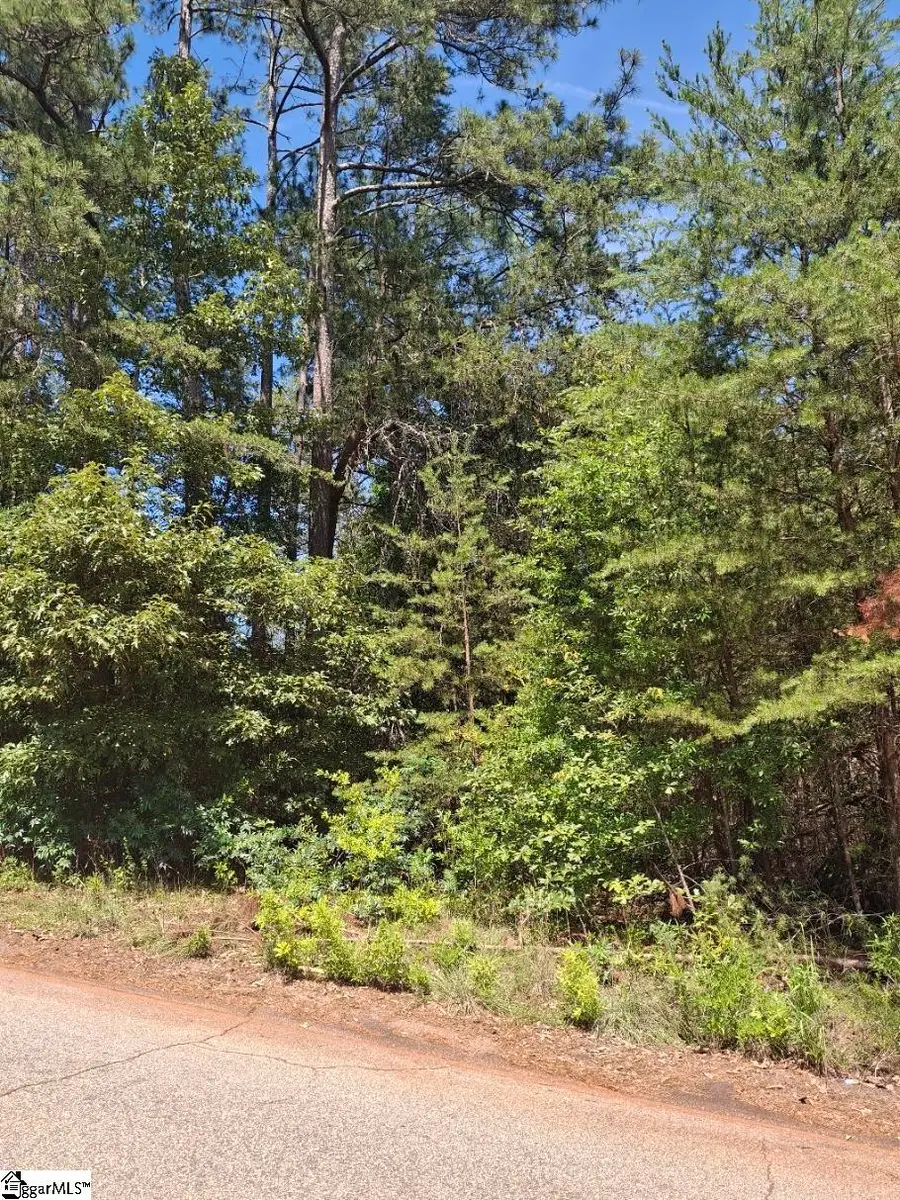 302 Walnut Drive, Pickens, SC 29671 - #2