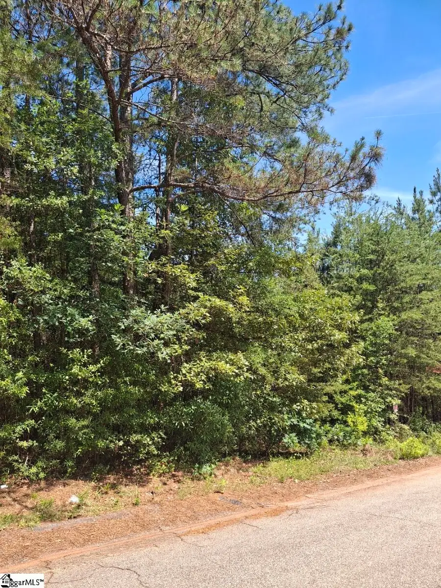 302 Walnut Drive, Pickens, SC 29671 - #3