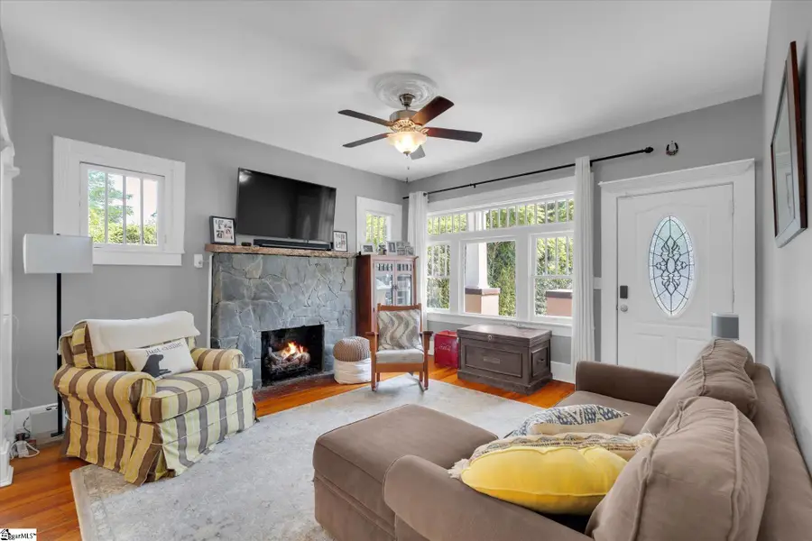 19 David Street, Greenville, SC 29609 - #3