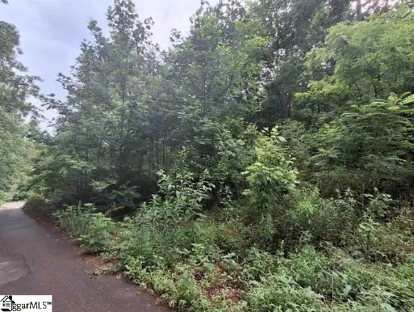 137 High Top Drive, Pickens, SC 29671