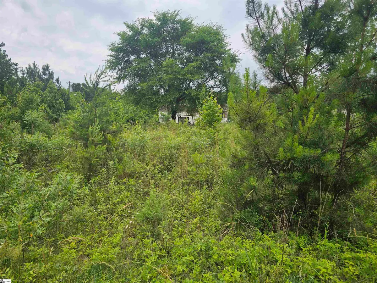 348 Dillon Drive, Clinton, SC 29325 - #1