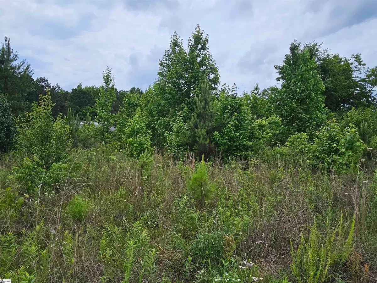 144 Colleton Lane, Clinton, SC 29325 - #1