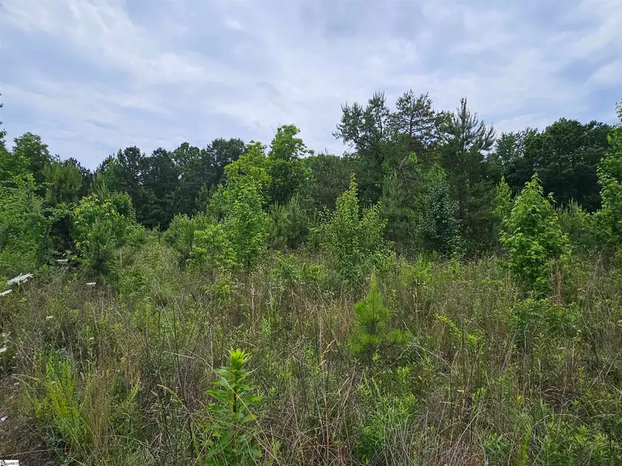 144 Colleton Lane, Clinton, SC 29325 - #2