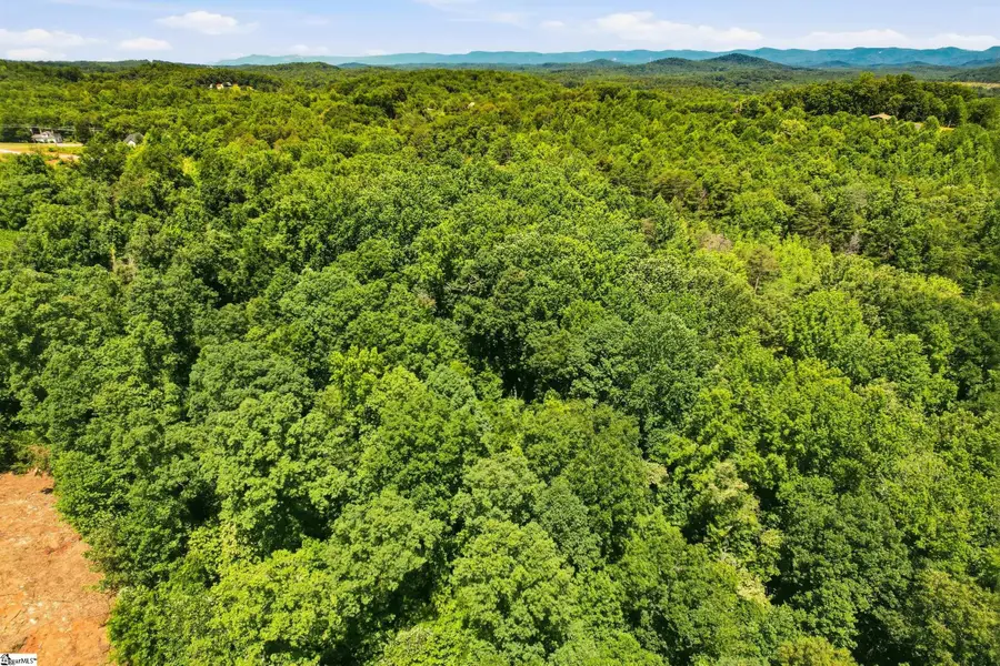 6920 Mountain View Road, Taylors, SC 29687 - #2