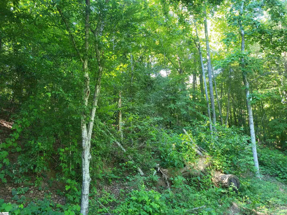 00 Hidden Valley Road, Marietta, SC 29661 - #1
