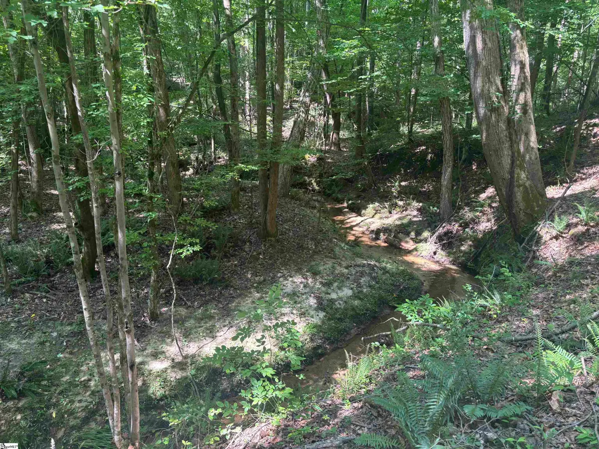 Old Calhoun Falls Road, Abbeville, SC 29620 - #1