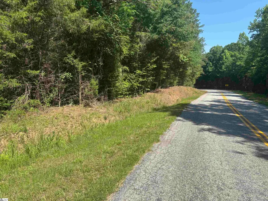 Old Calhoun Falls Road, Abbeville, SC 29620 - #3