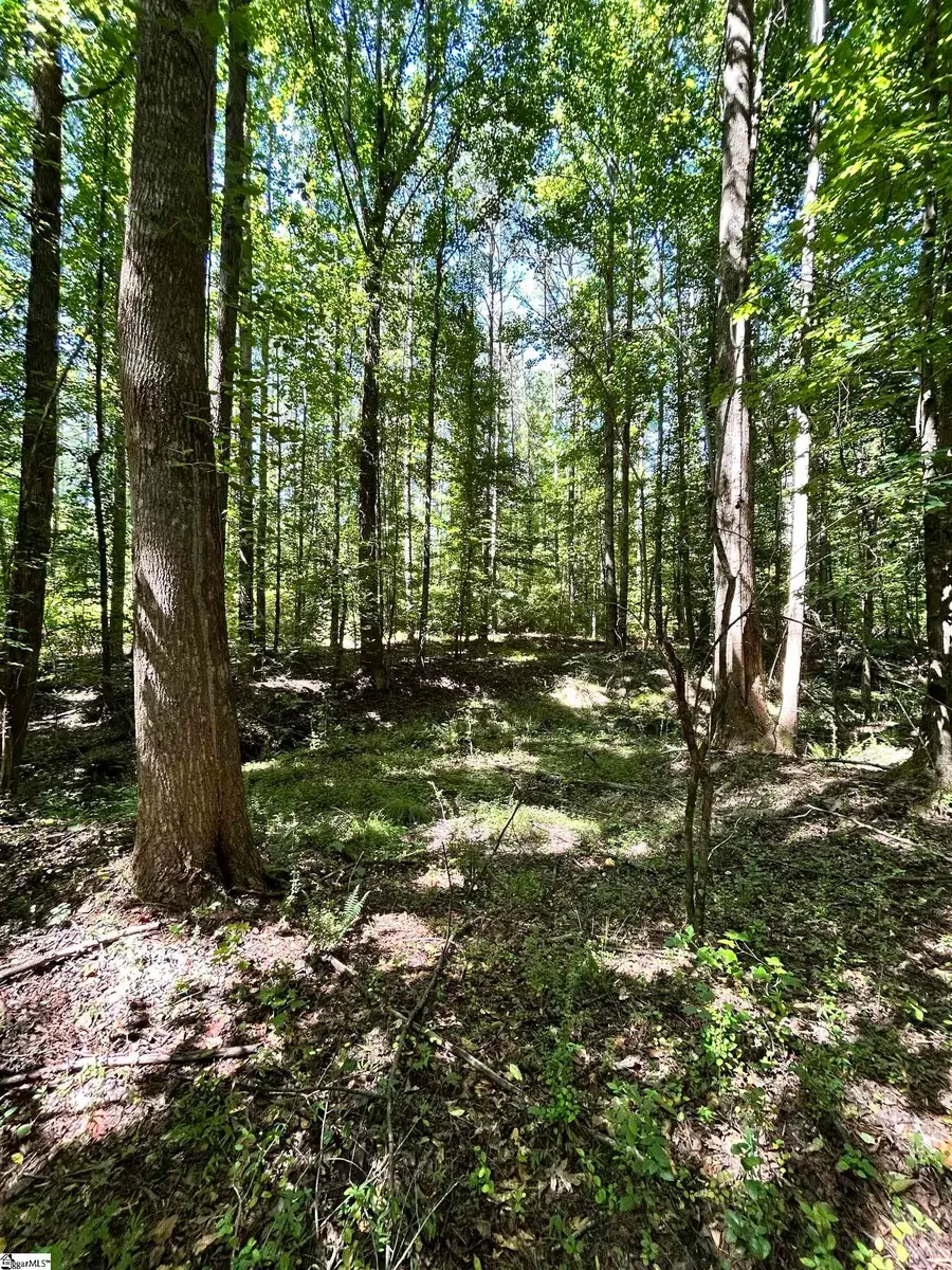 013 Sc - 413 Highway, Anderson, SC 29621 - #3