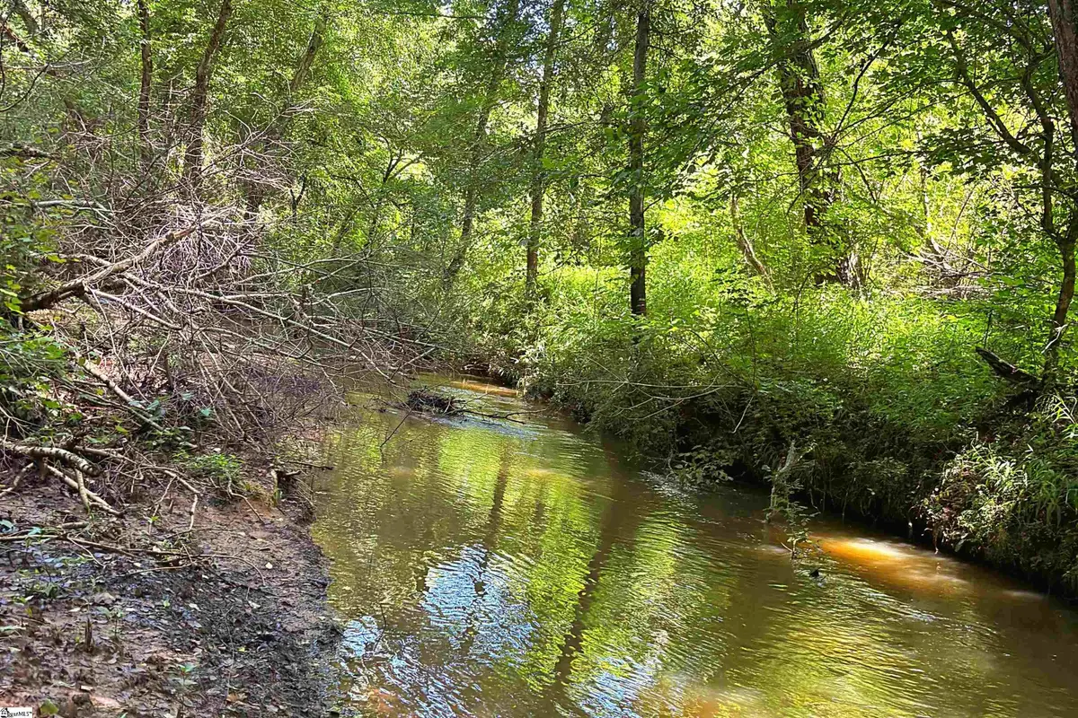 144 Mountain Creek Road, Gray Court, SC 29645 - #1