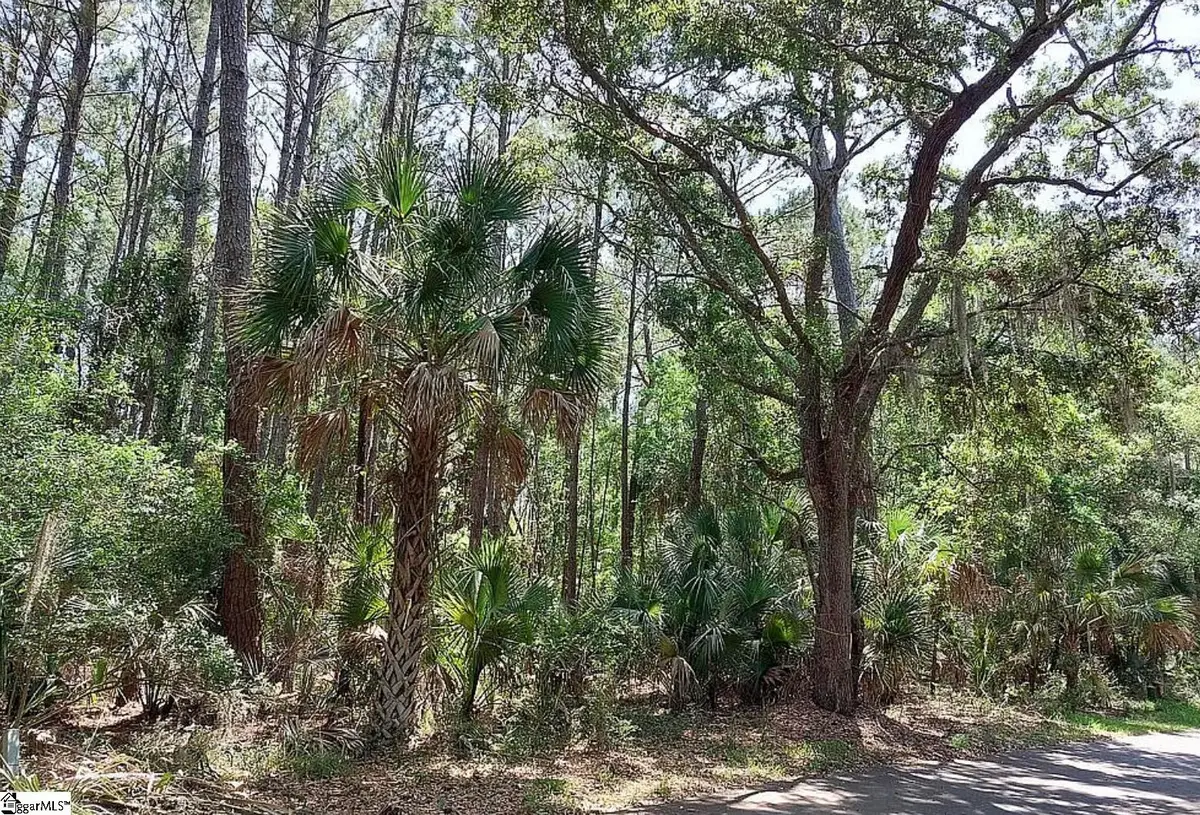 12 Sweetgrass Lane, Kiawah Island, SC 29455 - #1