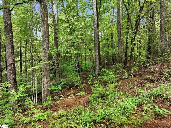 231 Cherokee Hills Drive, Pickens, SC 29671