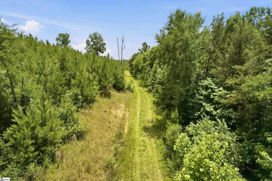 839 Duncan Creek Church Road, Laurens, SC 29360 - #2