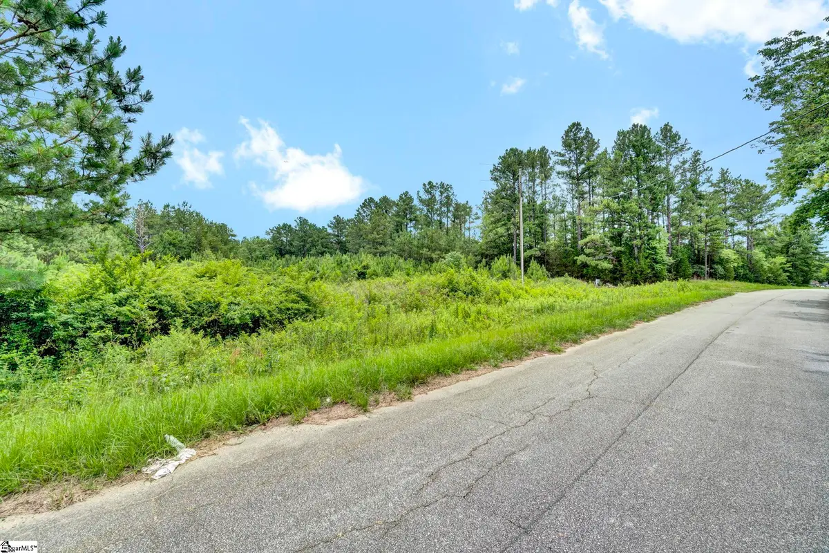 00 Stomp Springs Circle, Clinton, SC 29325 - #1