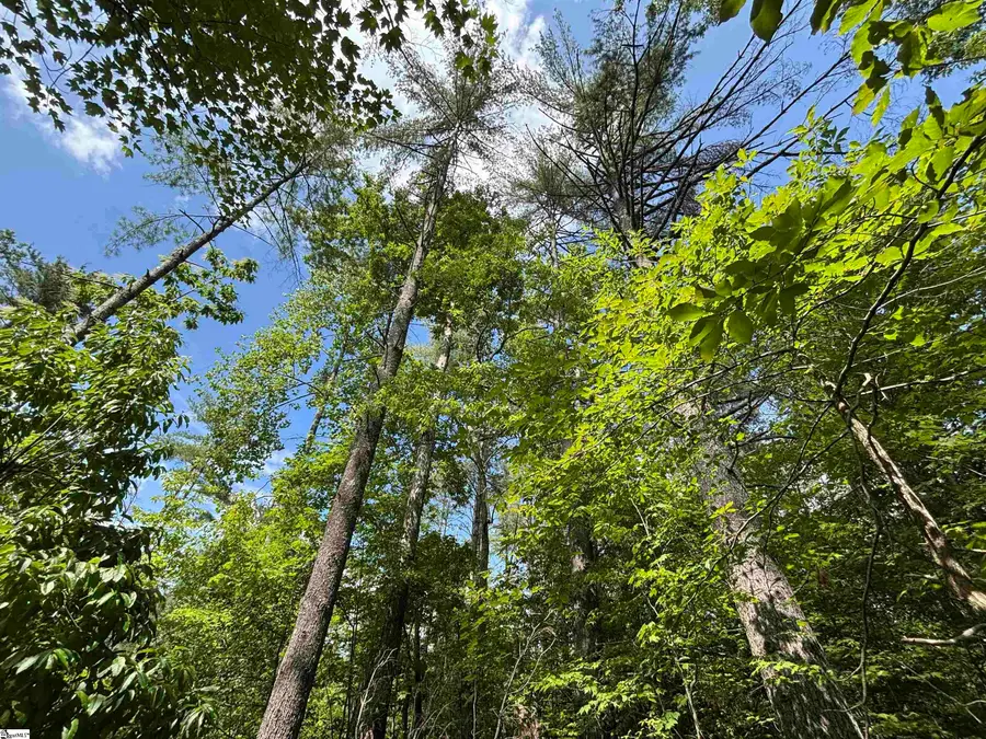 106 Dutchmans Pipe Trail, Sunset, SC 29685 - #2