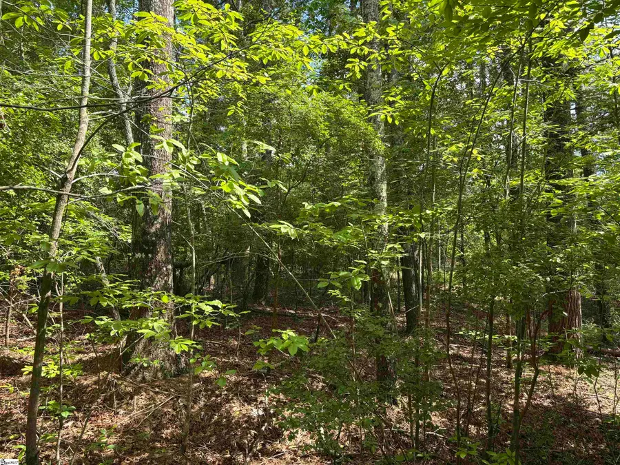 106 Dutchmans Pipe Trail, Sunset, SC 29685 - #3