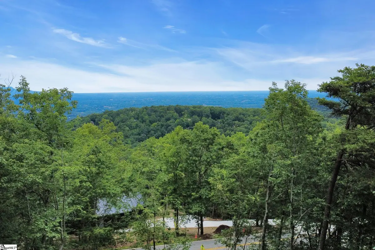 1321 Altamont Road, Greenville, SC 29609 - #1