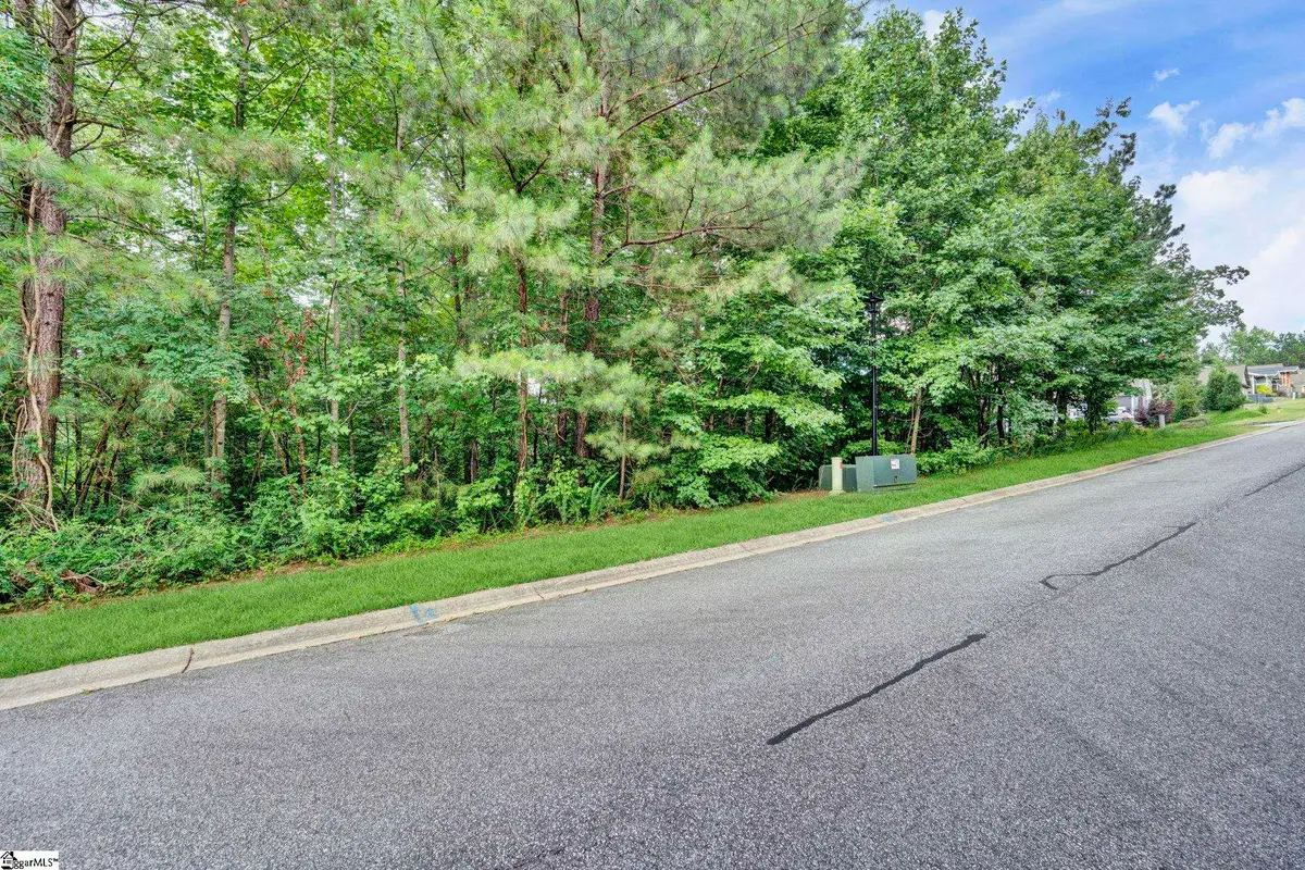 208 Wedge Way, Travelers Rest, SC 29690 - #1