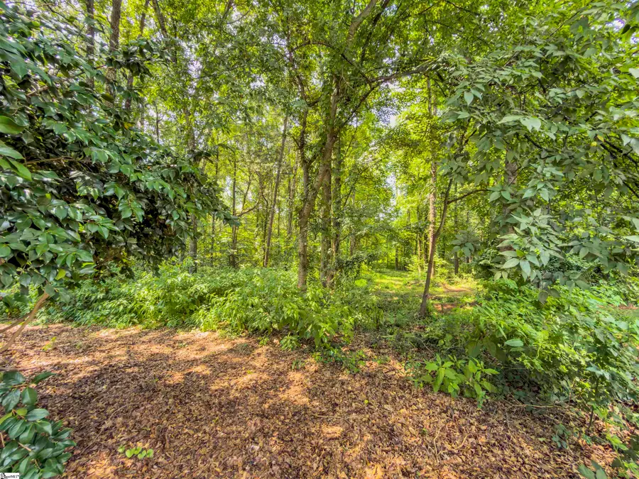 6 Peters Creek Court, Simpsonville, SC 29681 - #3