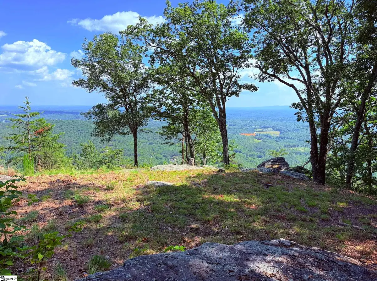 0 Southview Ledge Road #LOT 62, Landrum, SC 29356 - #1