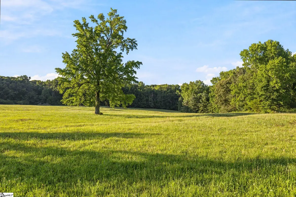 00 Indian Mound Road, Ware Shoals, SC 29662 - #1