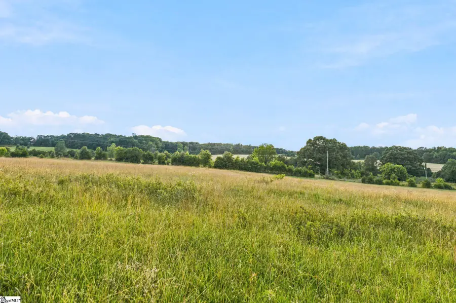 00 Indian Mound Road, Ware Shoals, SC 29692 - #2