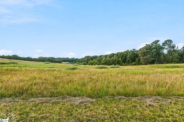 00 Indian Mound Road, Ware Shoals, SC 29692