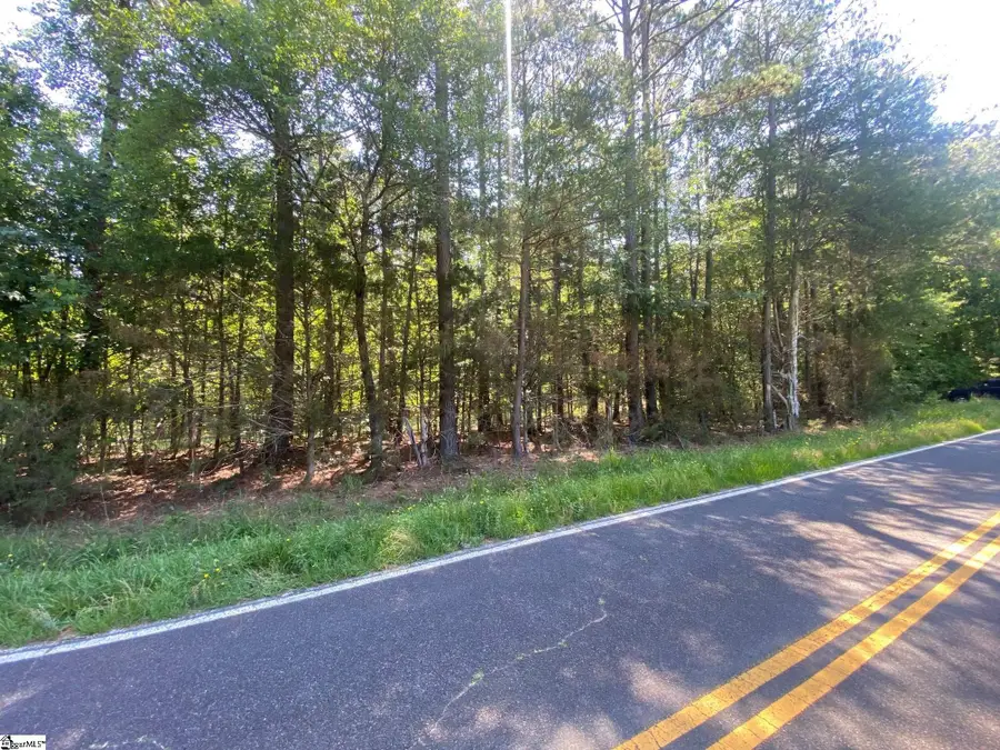 00 Mountville Road, Mountville, SC 29370 - #2