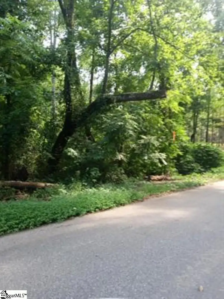 510 Cole Road, Campobello, SC 29322-9998 - #2