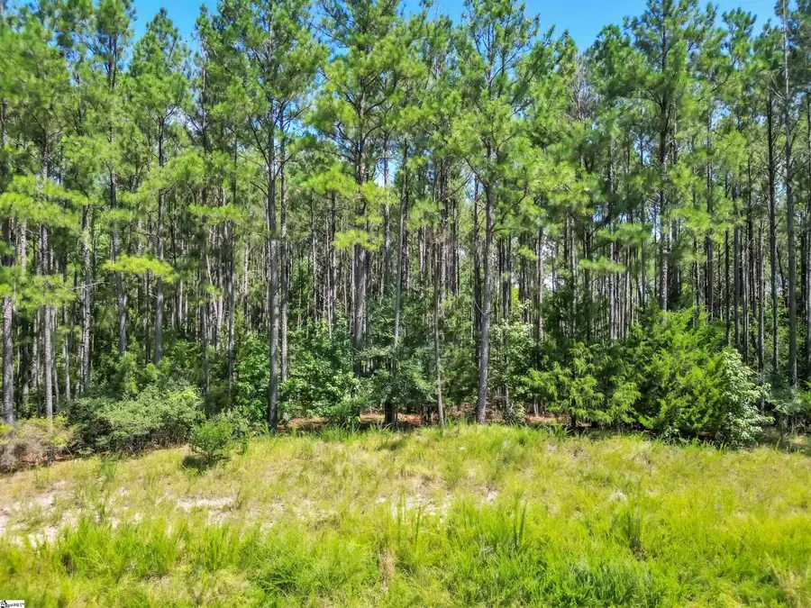 820 Eagles Harbor Drive, Hodges, SC 29653 - #2