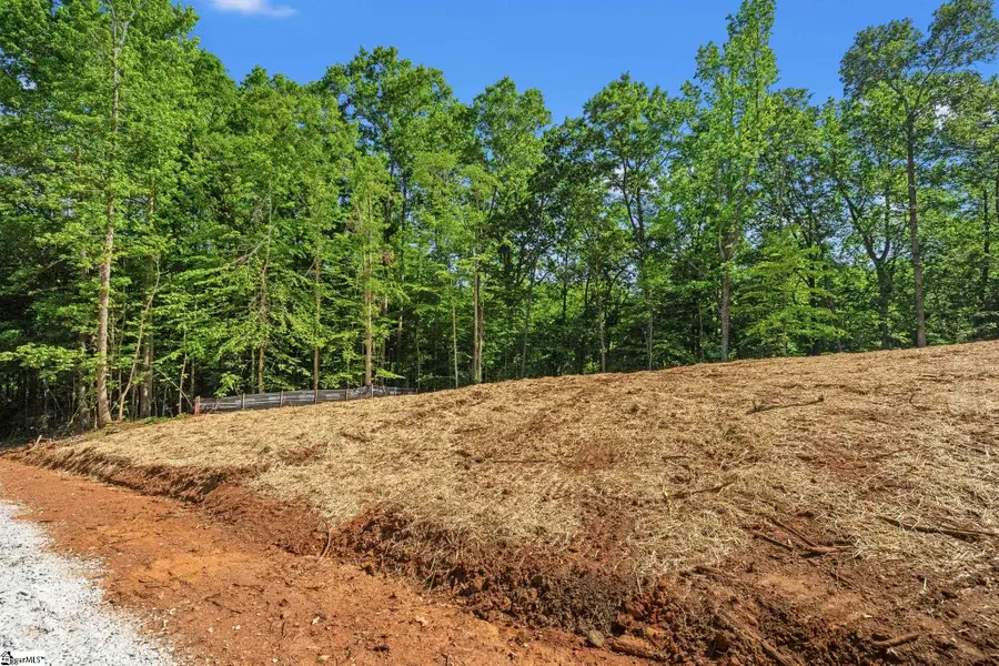 112 N Silver Lake Drive, Taylors, SC 29687 - #2