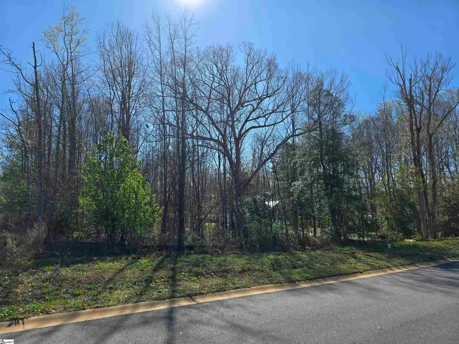 103 Lipizzaner Court, Pelzer, SC 29669 - #2
