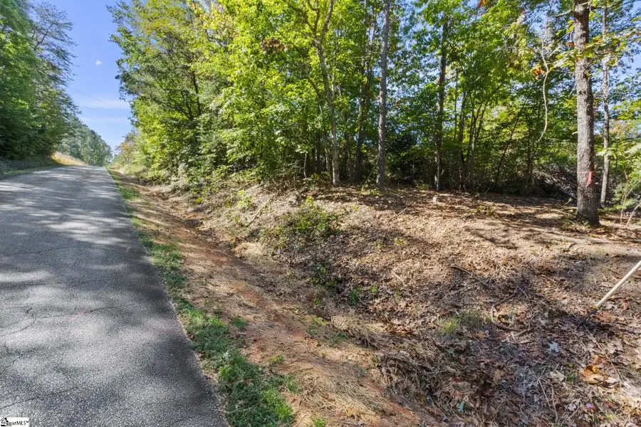 313 Arledge Road, Landrum, SC 29356 - #2