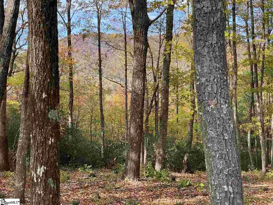 1526 Panther Park Trail, Travelers Rest, SC 29690 - #2