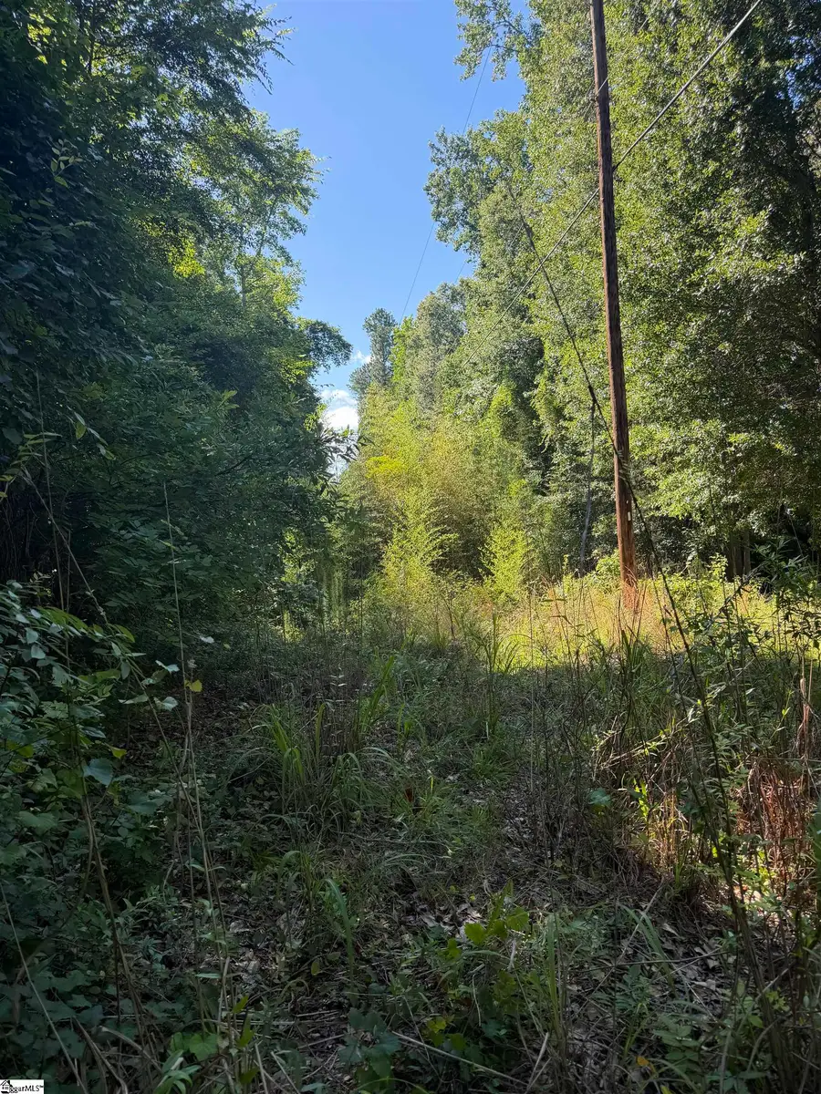 0 Buzhardt Road, Ware Shoals, SC 29692 - #3